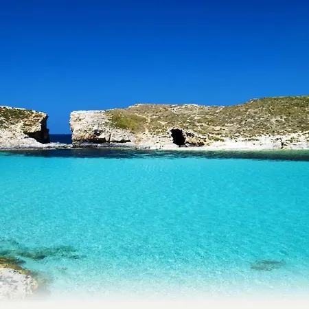 Exclusive With Historic Charm バレッタ